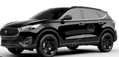 auto negro
